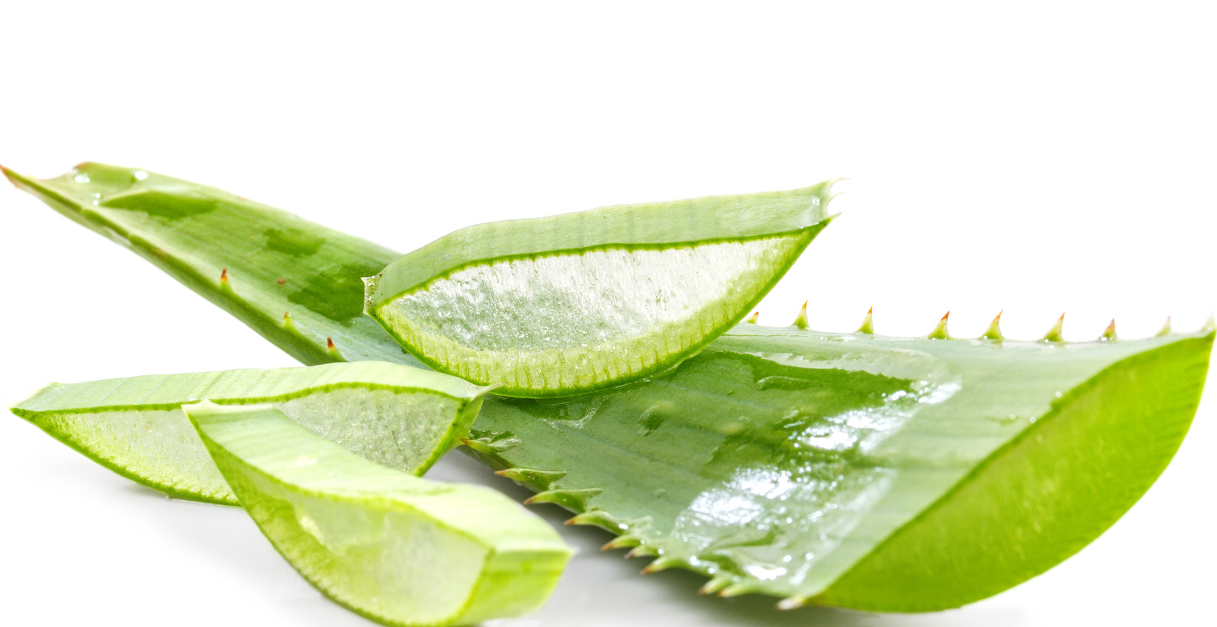 aloe vera hydratant et cicatrisant